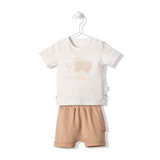 Bebetto Outfit Sets 3-6 Months / Brown Wilderness Elephant Outfit Set