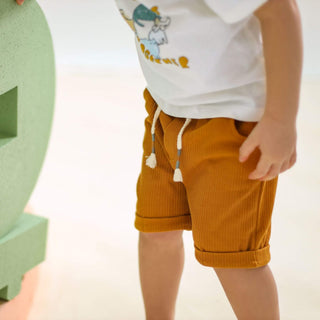 Bebetto Outfit Sets Summer Boy 2 Piece Rib Knit Cotton T-Shirt & Shorts Set