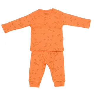 BabyCosy Outfit Sets Ribbed Elephant Modal & Organic Cotton Outfit Set 3-Piece