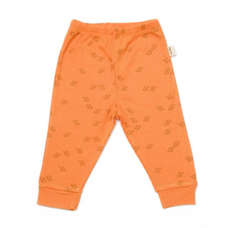 BabyCosy Trousers Ribbed Elephant Modal & Organic Cotton Trousers 2-Pack