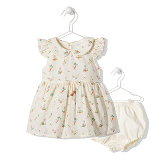 Bebetto Dresses 6-9 Months / Ecru Hungry Bunny 2 Piece Dress & Bloomer Set