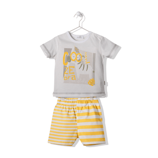 Bebetto Outfit Sets 6-9 Months / Yellow Just Fun 2 Piece Zebra T-Shirts & Shorts Set